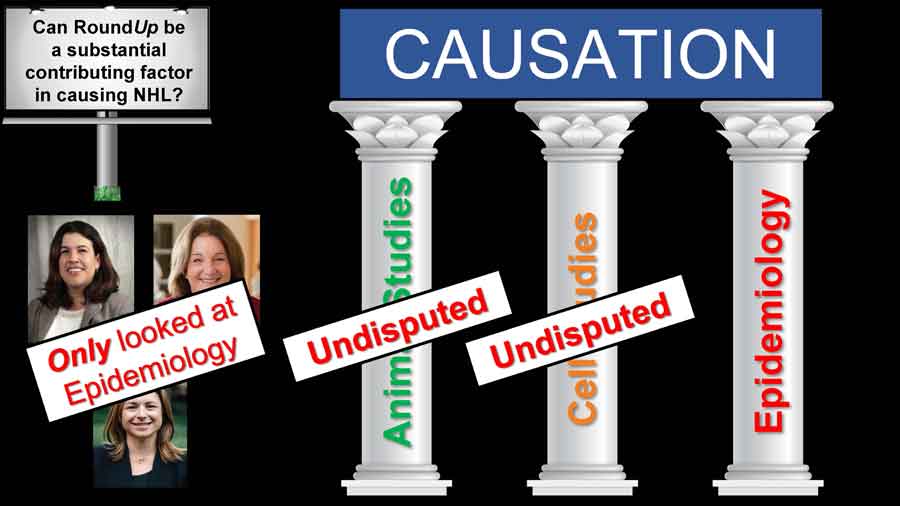 three scientists that addressed causation in any way by Monsanto — Dr. Bello, Dr. Levine, and Dr. Mucci — they just looked at epi.